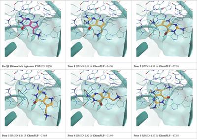 Frontiers | Thermal Titration Molecular Dynamics (TTMD): Shedding Light ...